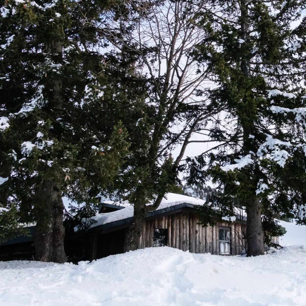 Weekend d&rsquo;hiver en cabanes dans le&nbsp;Vercors
