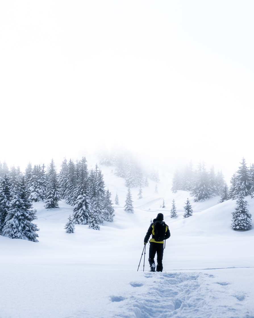 randonnée raquettes