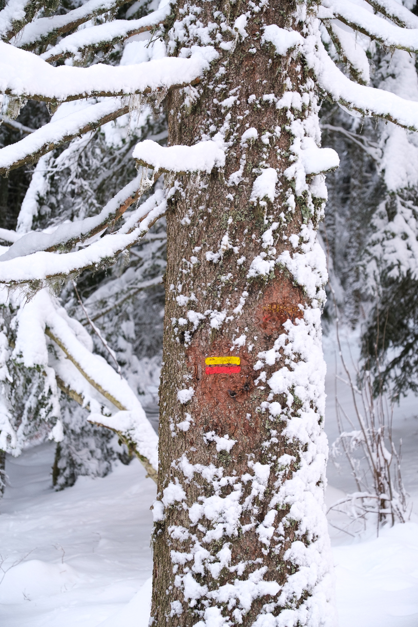 panneau de randonnée