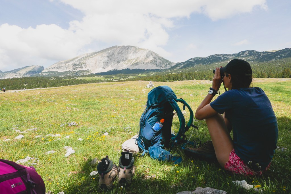 vue sur le grand veymont