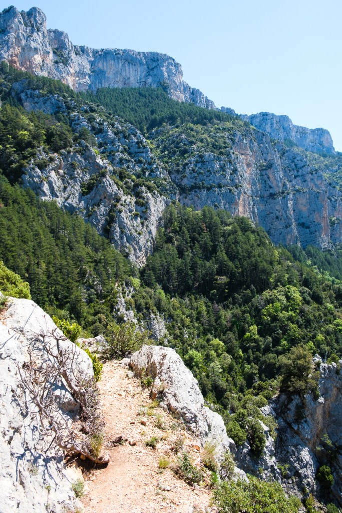 falaises du verdon lors d'une randonnée au printemps