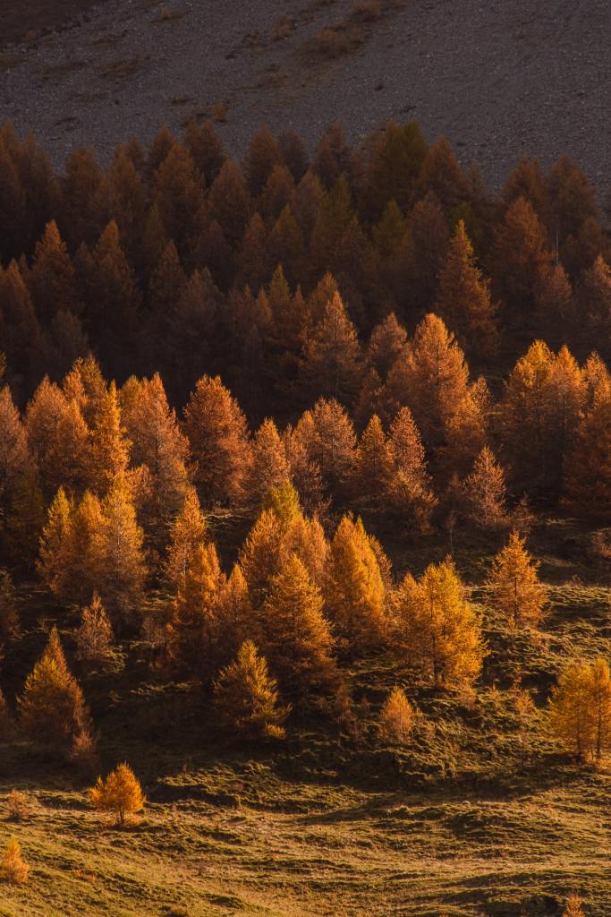 Lumière d’octobre sur les sources de la Romanche et les montagnes.