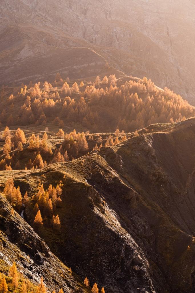 Vallée automnale de Villar d’Arène avec ruisseau et forêts de mélèzes.