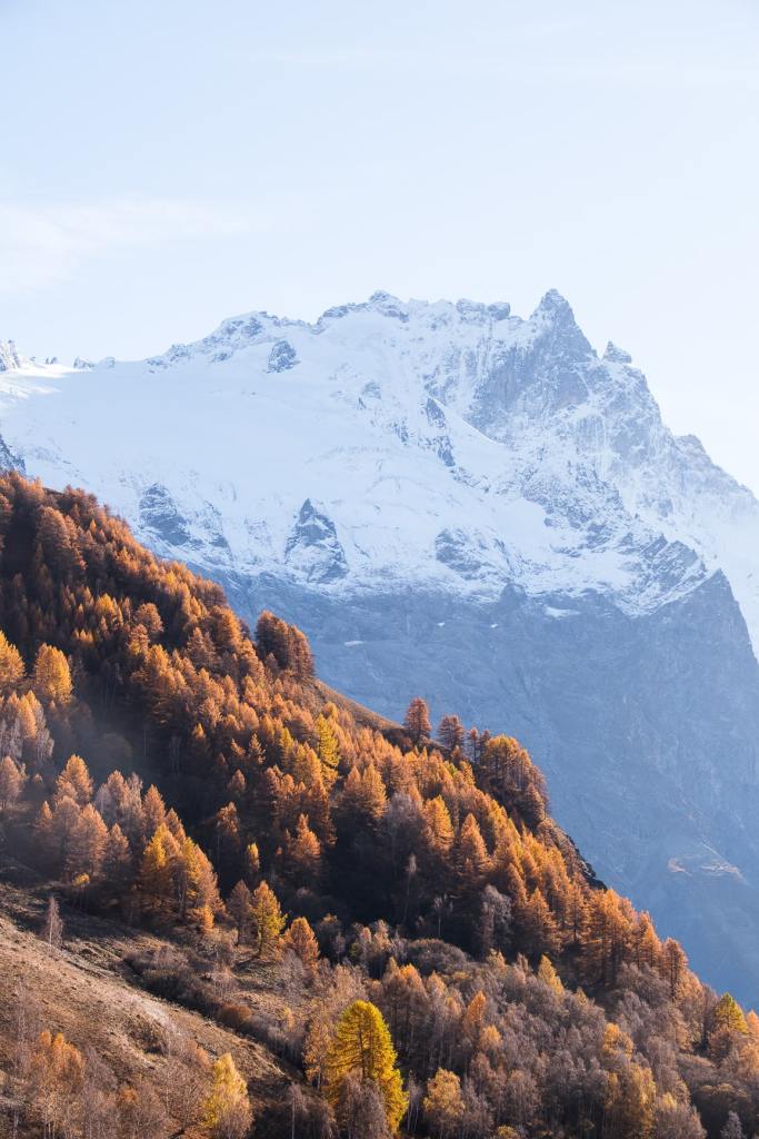 Mélèzes dorés et panorama grandiose au lac du Goléon.