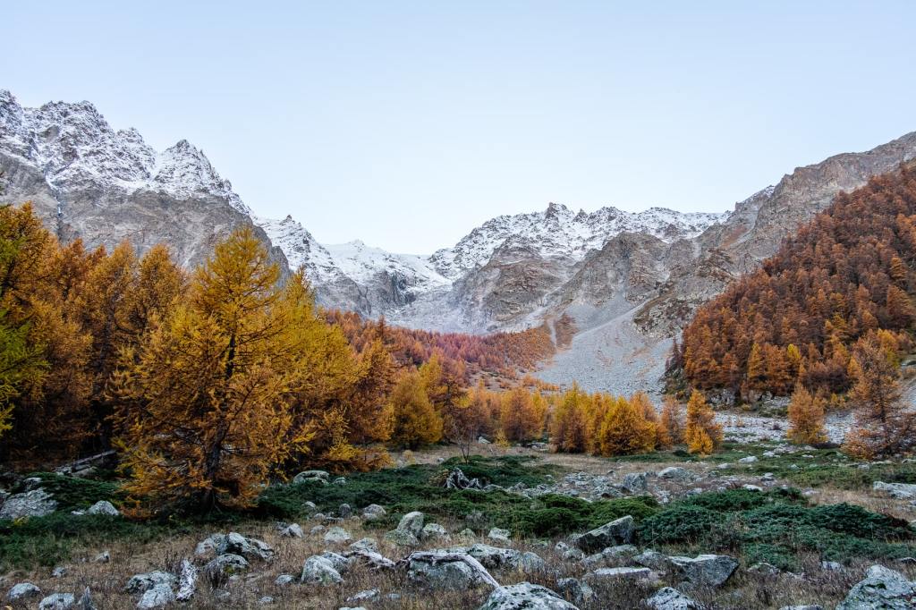 Paysage de montagne à l'automne avec mélèzes dorés et sommets enneigés