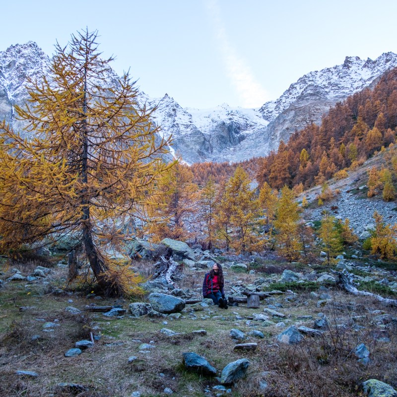 Les Alpes à l&rsquo;automne : randonnées&nbsp;mélèzes