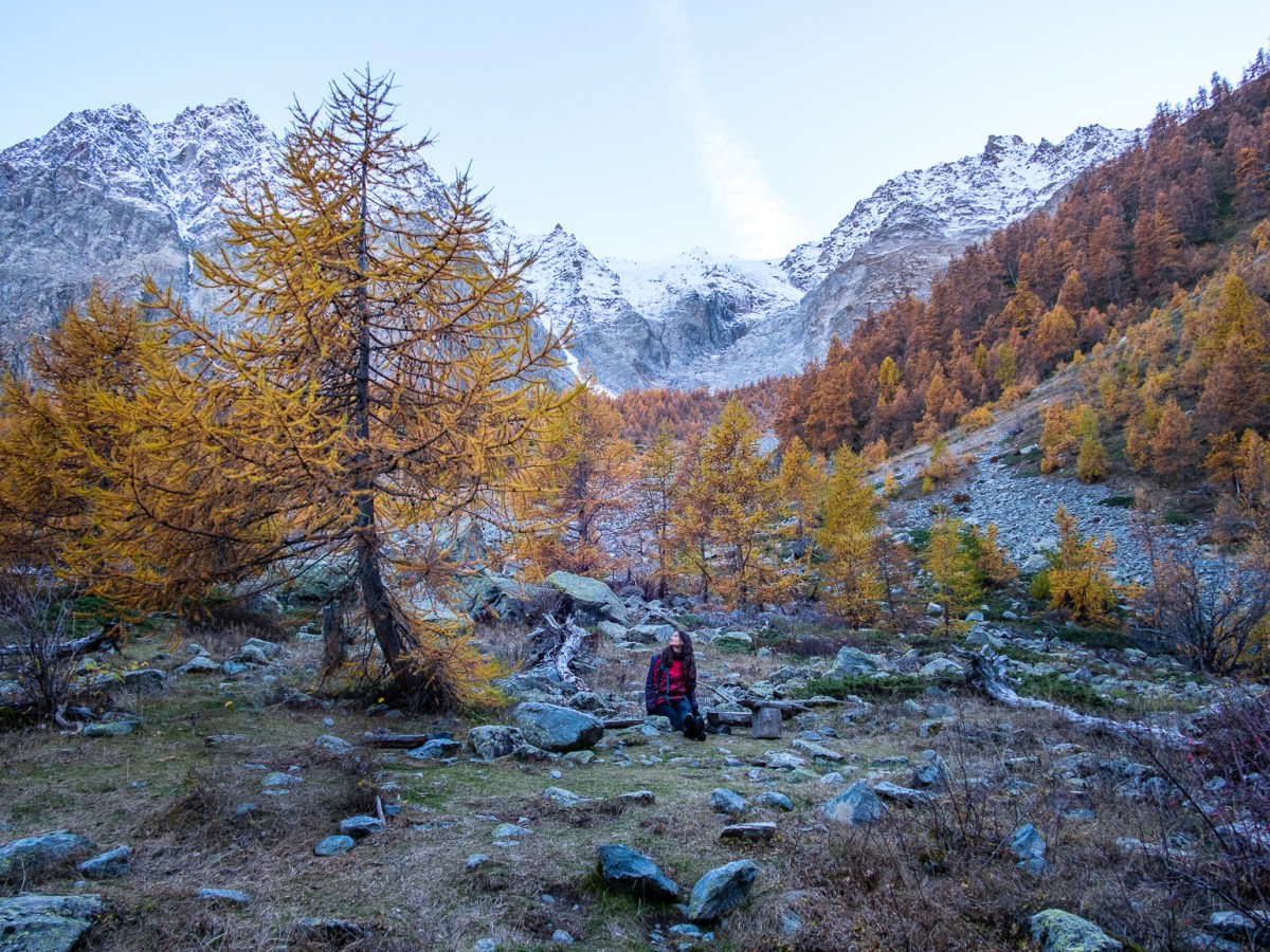 Les Alpes à l&rsquo;automne : randonnées&nbsp;mélèzes