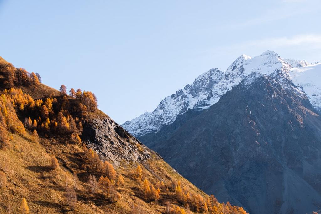 Paysage automnal dans les Écrins avec mélèzes dorés et montagne enneigée en arrière plan 