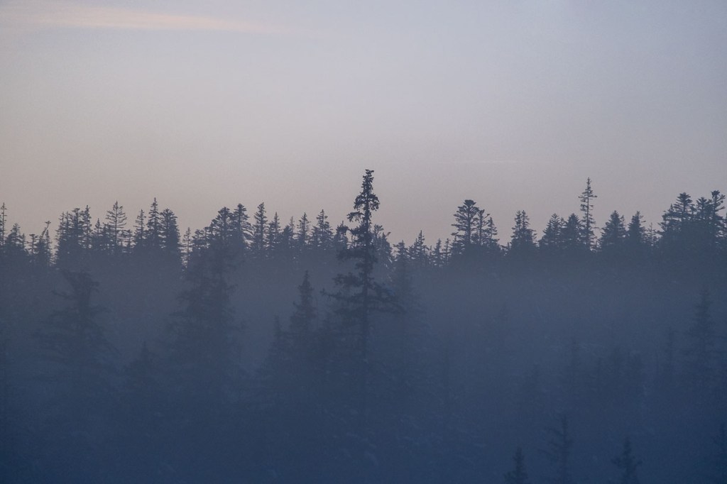 Paysage hivernal du Vercors la nuit