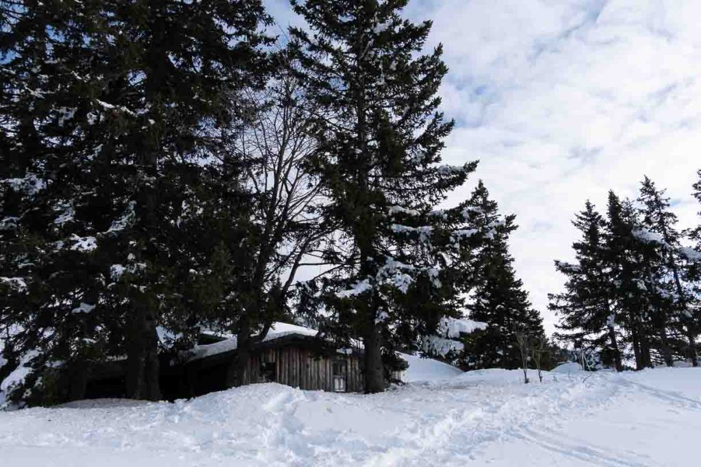 Cabane secrète au bord d’une clairière enneigée, perdue dans les sapins du Vercors.