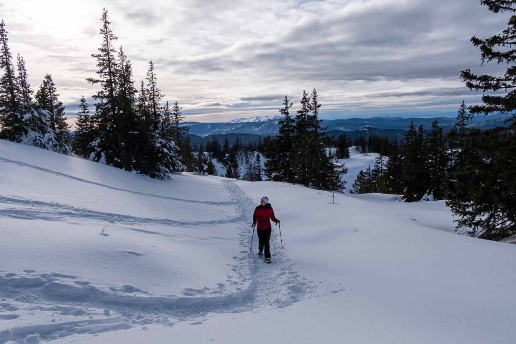 Paysage hivernal du Vercors avec crêtes enneigées à l’horizon.