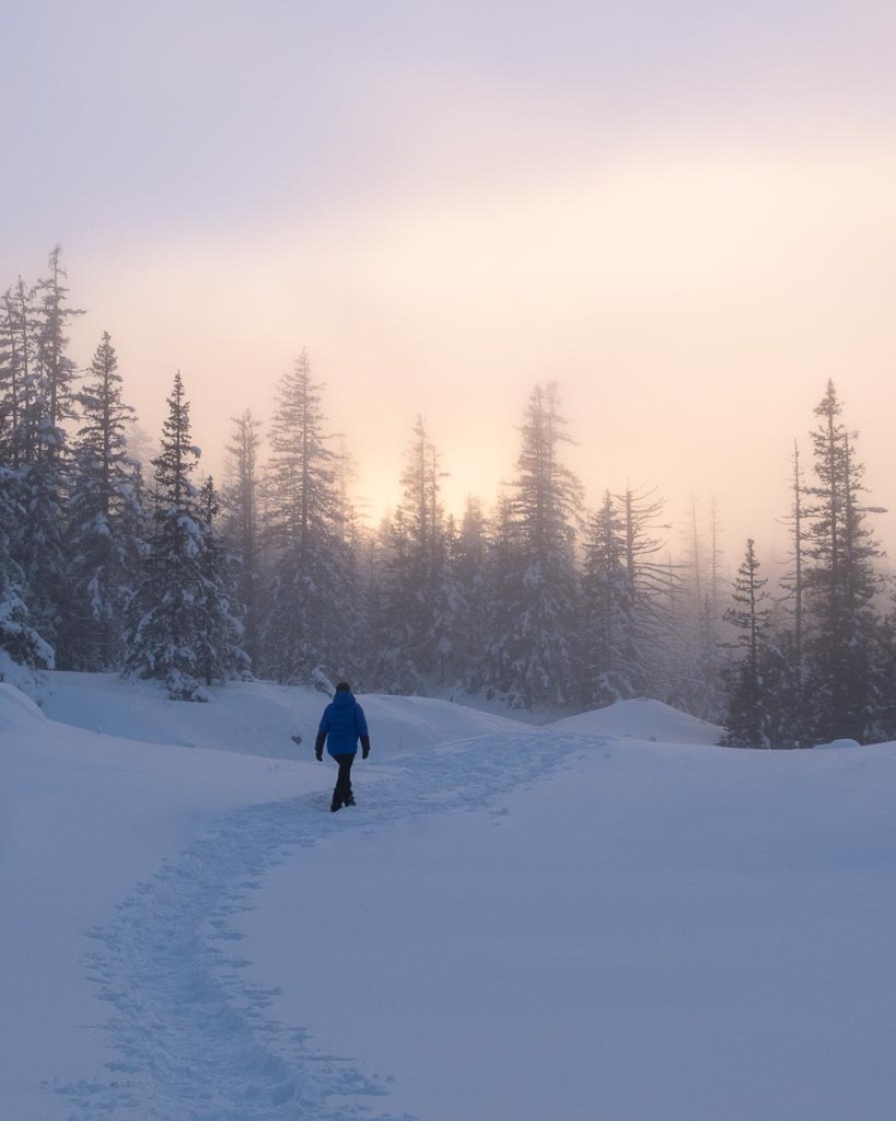 randonneuse en raquettes dans le vercors